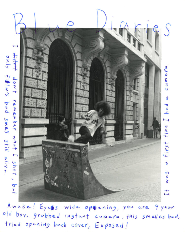 BlueDiaries
