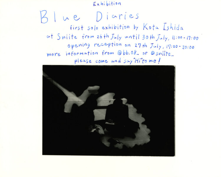 BlueDiaries