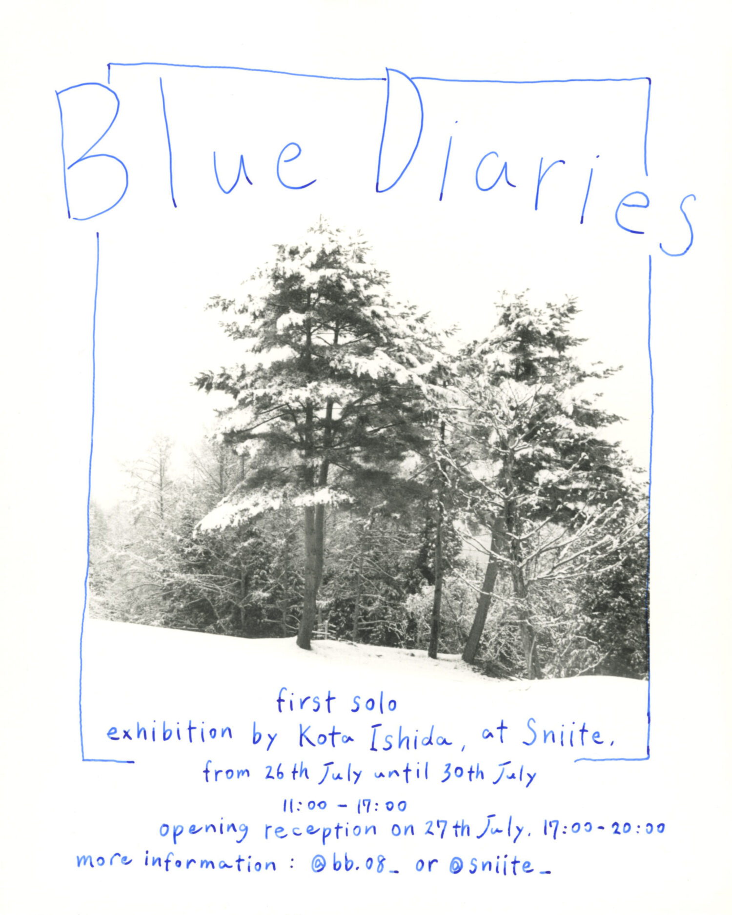 BlueDiaries