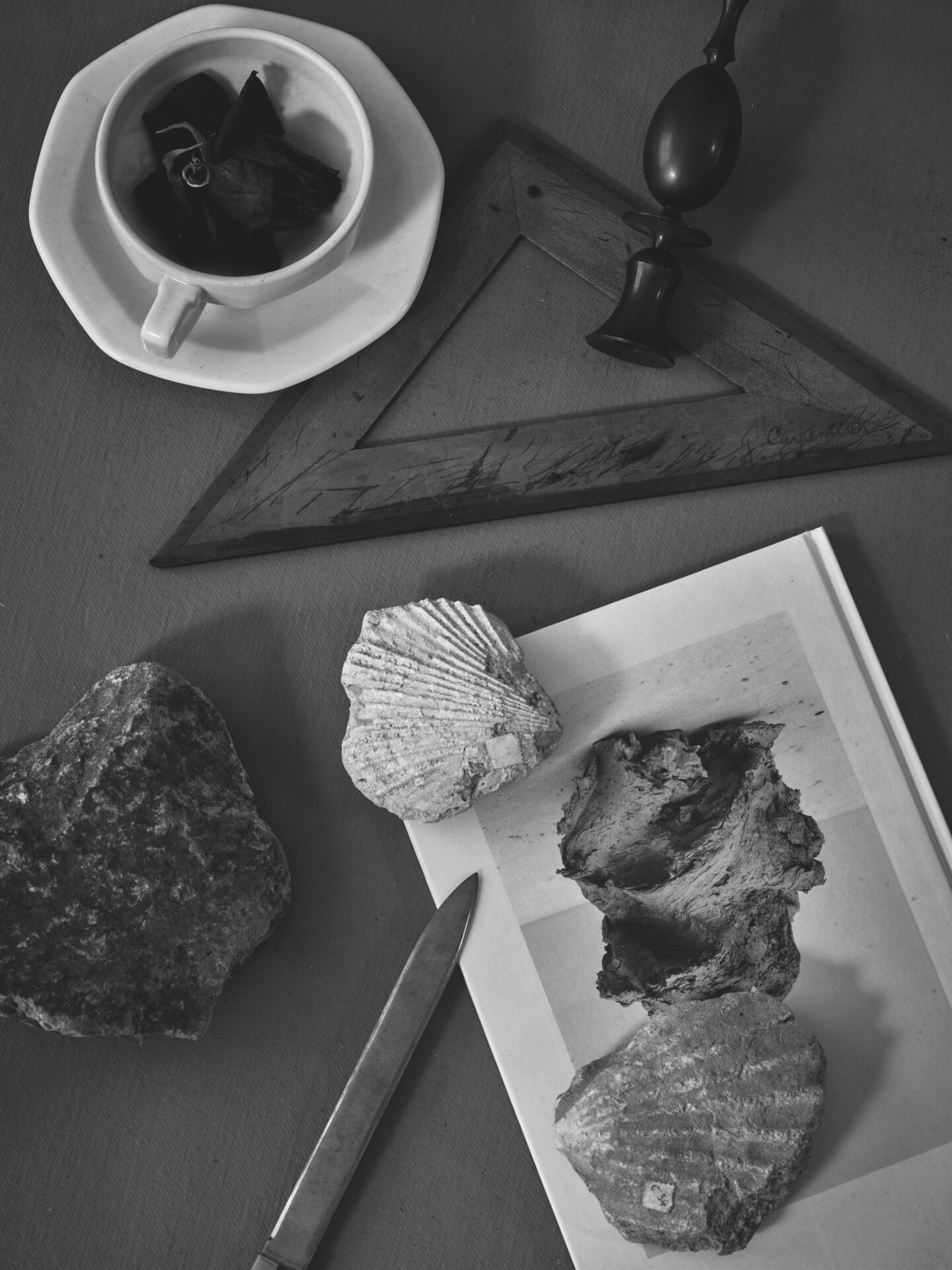 DARK ROMANCE for S/S 2023 ADORE